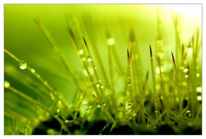smallness-spirit