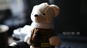 sony dt 50 f1.8 a300